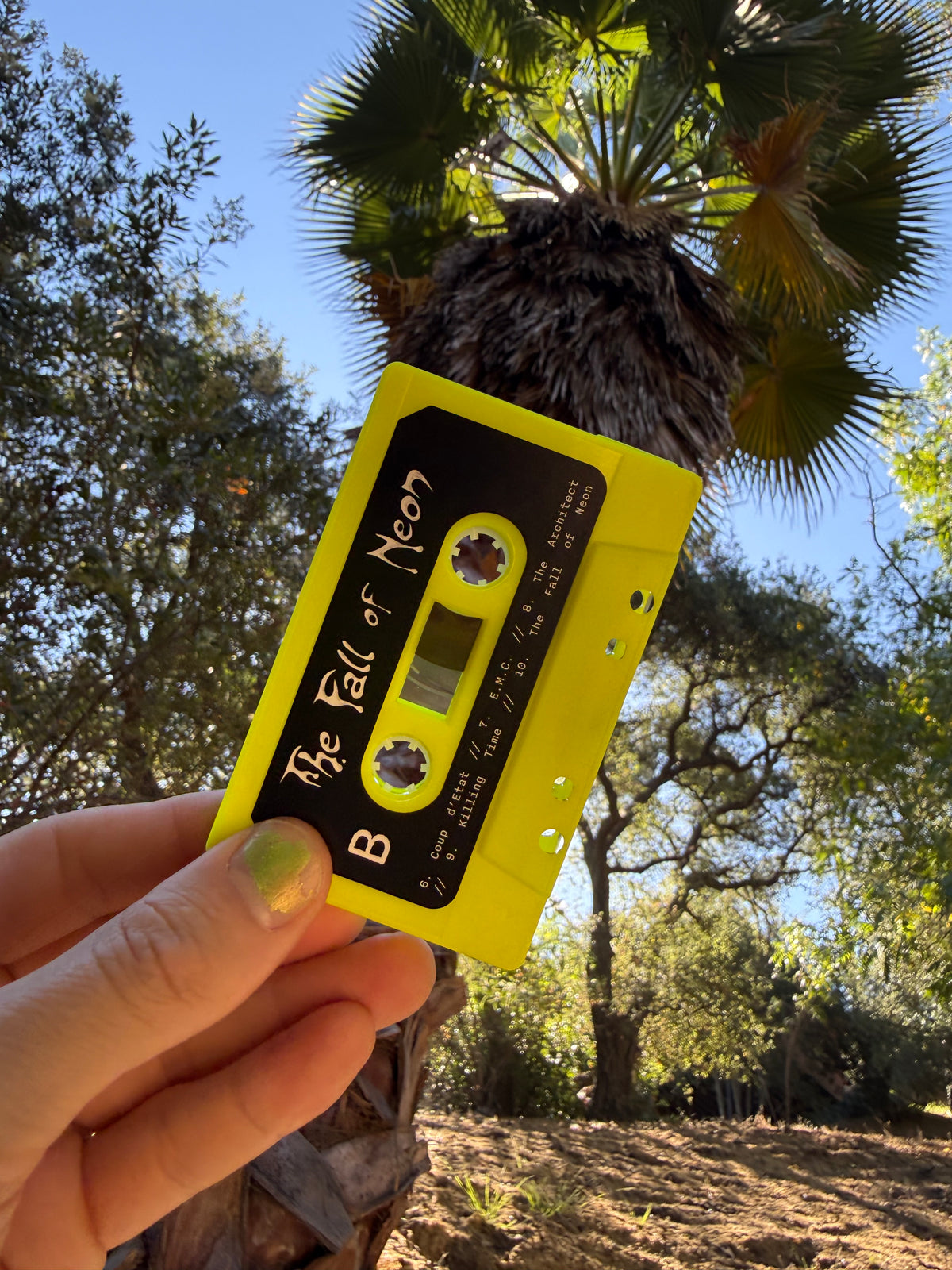 *The Fall of Neon Cassette